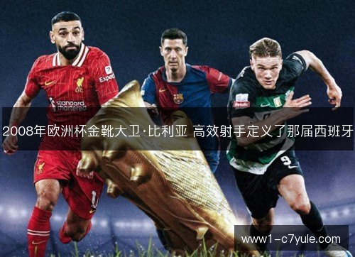 2008年欧洲杯金靴大卫·比利亚 高效射手定义了那届西班牙 2008年欧洲杯金靴大卫·比利亚 高效射手定义了那届西班牙